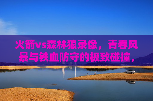 火箭vs森林狼录像，青春风暴与铁血防守的极致碰撞，火箭vs森林狼录像，青春风暴与铁血防守的极致碰撞