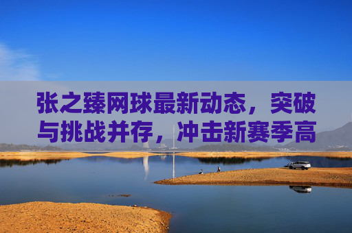 张之臻网球最新动态，突破与挑战并存，冲击新赛季高峰，张之臻网球，突破挑战并存，冲击新赛季高峰