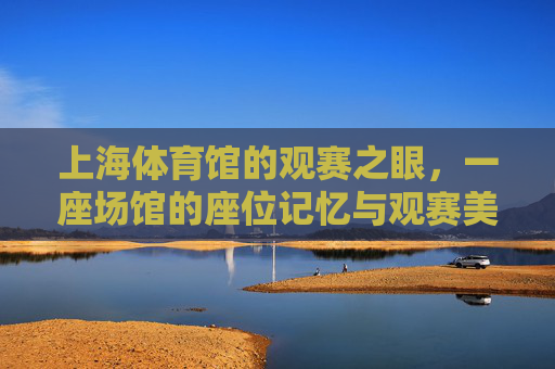 上海体育馆的观赛之眼，一座场馆的座位记忆与观赛美学，观赛之眼，上海体育馆的座位记忆与美学
