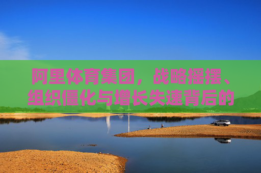 阿里体育集团，战略摇摆、组织僵化与增长失速背后的管理困境，阿里体育集团，战略摇摆、组织僵化与增长失速背后的管理困境