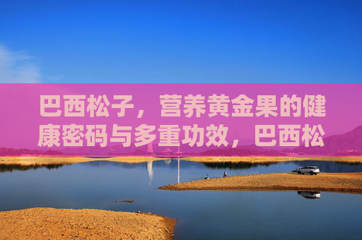 巴西松子，营养黄金果的健康密码与多重功效，巴西松子，营养黄金果的健康密码与多重功效