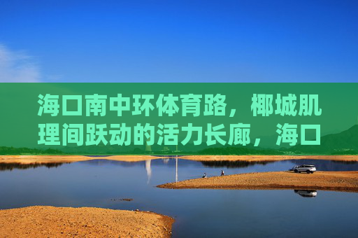 海口南中环体育路，椰城肌理间跃动的活力长廊，海口南中环体育路，椰城肌理间的活力长廊