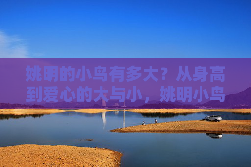 姚明的小鸟有多大?从身高到爱心的大与小,姚明小鸟,从身高到爱心的大与小 姚明的小鸟有多大?从身高到爱心的大与小,姚明小鸟,从身高到爱心的大与小