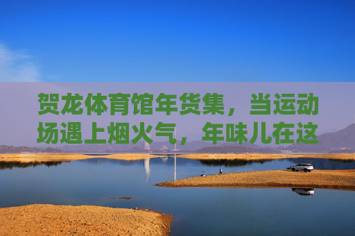 贺龙体育馆年货集，当运动场遇上烟火气，年味儿在这里沸腾，运动场遇上烟火气，贺龙体育馆年货集年味沸腾