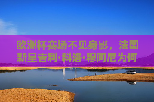 欧洲杯赛场不见身影，法国新星吉利·科洛·穆阿尼为何未能首发？欧洲杯法国新星穆阿尼为何未能首发？