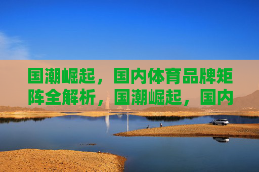 国潮崛起，国内体育品牌矩阵全解析，国潮崛起，国内体育品牌矩阵全解析