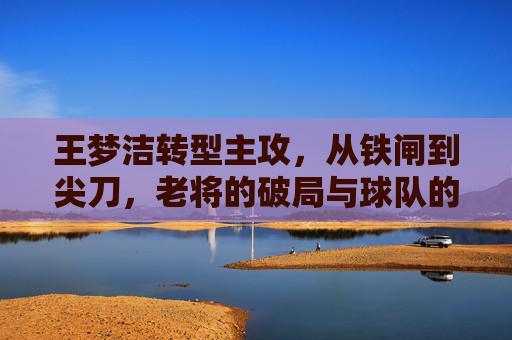 王梦洁转型主攻，从铁闸到尖刀，老将的破局与球队的涅槃，王梦洁转型尖刀，老将破局，球队涅槃