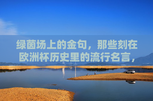 绿茵场上的金句，那些刻在欧洲杯历史里的流行名言，绿茵场上的欧洲杯历史金句