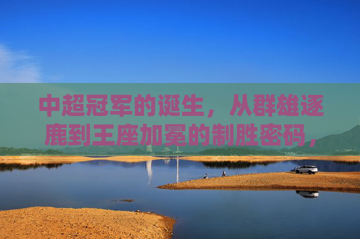 中超冠军的诞生,从群雄逐鹿到王座加冕的制胜密码,逐鹿问鼎,中超冠军的制胜密码 中超冠军的诞生,从群雄逐鹿到王座加冕的制胜密码,逐鹿问鼎,中超冠军的制胜密码