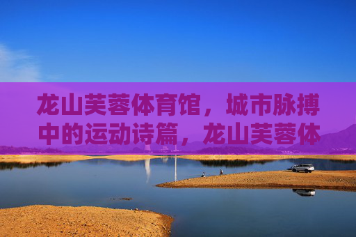龙山芙蓉体育馆,城市脉搏中的运动诗篇,龙山芙蓉体育馆,城市脉搏中的运动诗篇 龙山芙蓉体育馆,城市脉搏中的运动诗篇,龙山芙蓉体育馆,城市脉搏中的运动诗篇