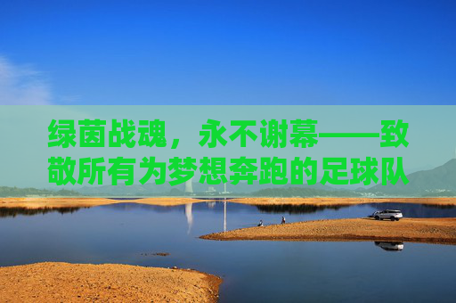 绿茵战魂，永不谢幕——致敬所有为梦想奔跑的足球队，绿茵战魂永不谢幕，致敬为梦想奔跑的足球队