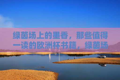 绿茵场上的墨香,那些值得一读的欧洲杯书籍,绿茵场墨香,欧洲杯必读书籍 绿茵场上的墨香,那些值得一读的欧洲杯书籍,绿茵场墨香,欧洲杯必读书籍