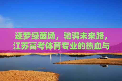 逐梦绿茵场，驰骋未来路，江苏高考体育专业的热血与坚守，逐梦绿茵场，热血坚守江苏体育高考未来路