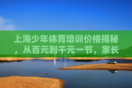 上海少年体育培训价格揭秘，从百元到千元一节，家长该如何选择？上海少年体育培训，百元到千元一节，家长如何选？