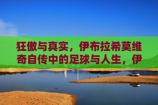 狂傲与真实,伊布拉希莫维奇自传中的足球与人生,伊布拉希莫维奇自传,狂傲与真实的足球人生 狂傲与真实,伊布拉希莫维奇自传中的足球与人生,伊布拉希莫维奇自传,狂傲与真实的足球人生