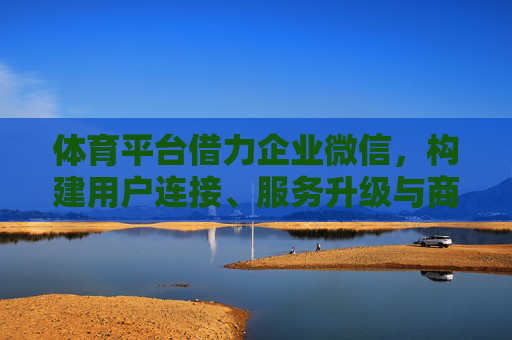 体育平台借力企业微信，构建用户连接、服务升级与商业增长新生态，企业微信赋能体育平台，构建用户连接、服务升级与商业增长新生态