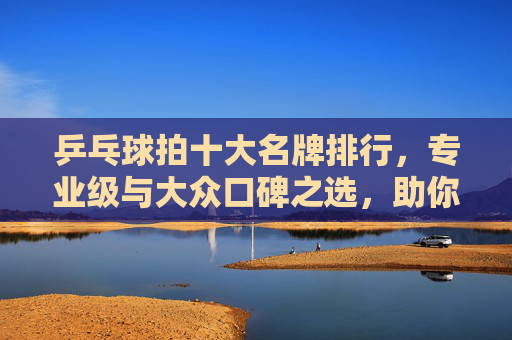 乒乓球拍十大名牌排行,专业级与大众口碑之选,助你提升赛场表现 乒乓球拍十大名牌排行,专业级与大众口碑之选,助你提升赛场表现
