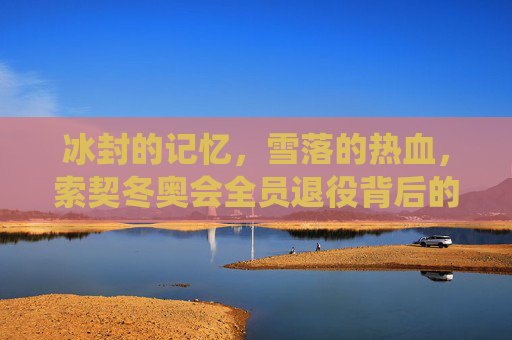 冰封的记忆，雪落的热血，索契冬奥会全员退役背后的时代告别，冰封记忆雪落热血，索契冬奥全员退役的时代告别
