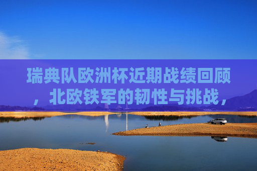 瑞典队欧洲杯近期战绩回顾，北欧铁军的韧性与挑战，北欧铁军欧洲杯征途，韧性坚守与挑战前行