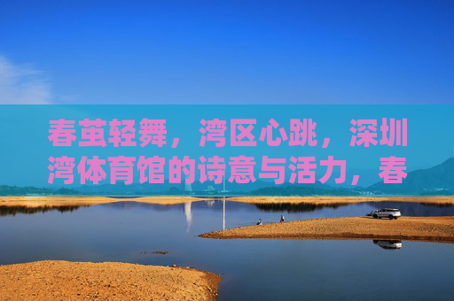 春茧轻舞,湾区心跳,深圳湾体育馆的诗意与活力,春茧湾区,诗意与活力的律动 春茧轻舞,湾区心跳,深圳湾体育馆的诗意与活力,春茧湾区,诗意与活力的律动
