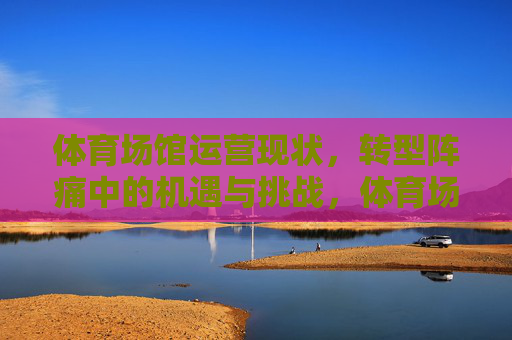 体育场馆运营现状,转型阵痛中的机遇与挑战,体育场馆运营,转型阵痛中的机遇与挑战 体育场馆运营现状,转型阵痛中的机遇与挑战,体育场馆运营,转型阵痛中的机遇与挑战