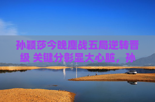 孙颖莎今晚鏖战五局逆转晋级 关键分彰显大心脏,孙颖莎五局逆转晋级 关键分彰显大心脏 孙颖莎今晚鏖战五局逆转晋级 关键分彰显大心脏,孙颖莎五局逆转晋级 关键分彰显大心脏
