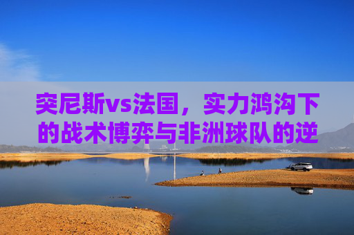 突尼斯vs法国,实力鸿沟下的战术博弈与非洲球队的逆袭密码,突尼斯vs法国,实力鸿沟下的战术博弈与非洲逆袭密码 突尼斯vs法国,实力鸿沟下的战术博弈与非洲球队的逆袭密码,突尼斯vs法国,实力鸿沟下的战术博弈与非洲逆袭密码