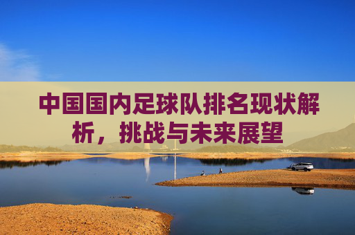 中国国内足球队排名现状解析，挑战与未来展望