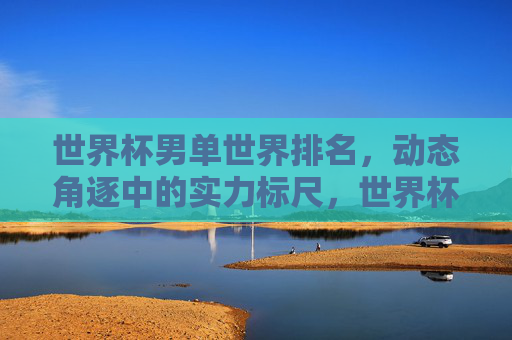世界杯男单世界排名，动态角逐中的实力标尺，世界杯男单世界排名，动态角逐中的实力标尺