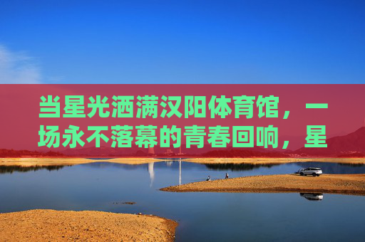当星光洒满汉阳体育馆，一场永不落幕的青春回响，星光汉阳，青春回响永不落幕