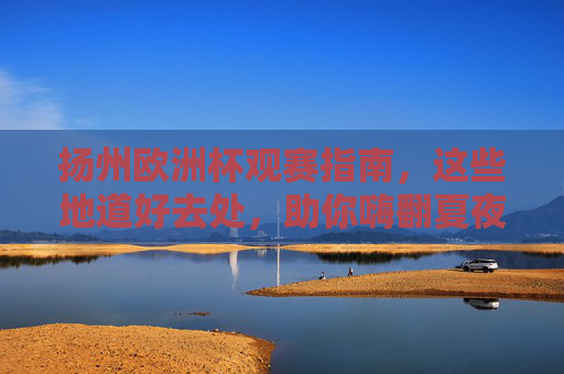 扬州欧洲杯观赛指南，这些地道好去处，助你嗨翻夏夜！扬州欧洲杯观赛指南，地道好去处嗨翻夏夜
