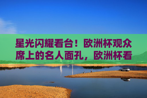 星光闪耀看台！欧洲杯观众席上的名人面孔，欧洲杯看台，星光与名人同席