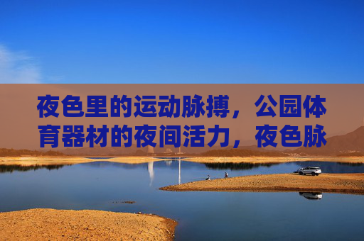 夜色里的运动脉搏，公园体育器材的夜间活力，夜色脉动，公园体育器材的夜间活力