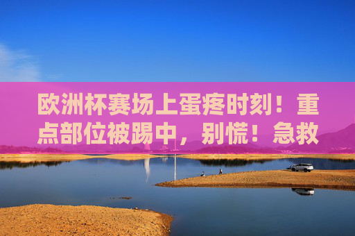 欧洲杯赛场上蛋疼时刻!重点部位被踢中,别慌!急救+防护指南 欧洲杯赛场上蛋疼时刻!重点部位被踢中,别慌!急救+防护指南