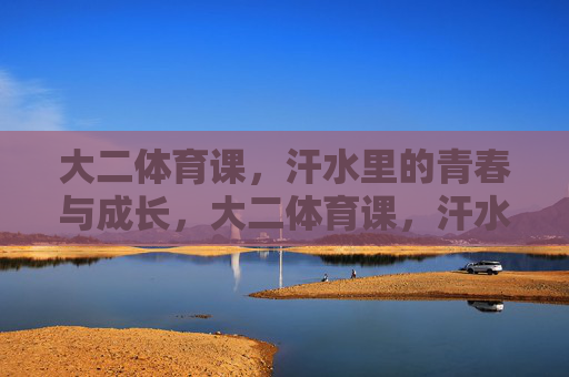 大二体育课，汗水里的青春与成长，大二体育课，汗水铸就青春成长