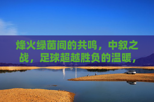 烽火绿茵间的共鸣,中叙之战,足球超越胜负的温暖,烽火绿茵间,中叙之战的温暖共鸣 烽火绿茵间的共鸣,中叙之战,足球超越胜负的温暖,烽火绿茵间,中叙之战的温暖共鸣
