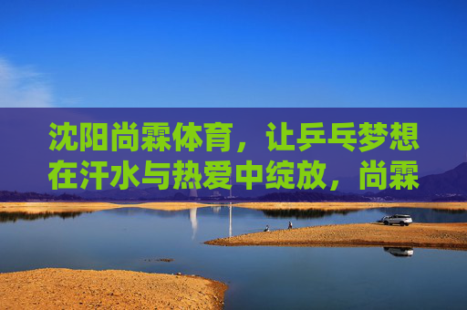 沈阳尚霖体育,让乒乓梦想在汗水与热爱中绽放,尚霖体育,乒乓梦想在汗水与热爱中绽放 沈阳尚霖体育,让乒乓梦想在汗水与热爱中绽放,尚霖体育,乒乓梦想在汗水与热爱中绽放