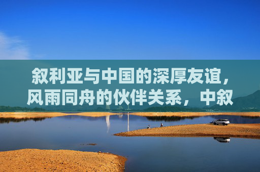 叙利亚与中国的深厚友谊,风雨同舟的伙伴关系,中叙深厚友谊,风雨同舟伙伴关系 叙利亚与中国的深厚友谊,风雨同舟的伙伴关系,中叙深厚友谊,风雨同舟伙伴关系