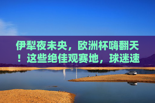 伊犁夜未央,欧洲杯嗨翻天!这些绝佳观赛地,球迷速来集合! 伊犁夜未央,欧洲杯嗨翻天!这些绝佳观赛地,球迷速来集合!