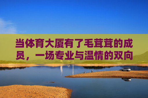 当体育大厦有了毛茸茸的成员,一场专业与温情的双向奔赴,毛茸茸住进体育大厦,专业与温情的双向奔赴 当体育大厦有了毛茸茸的成员,一场专业与温情的双向奔赴,毛茸茸住进体育大厦,专业与温情的双向奔赴