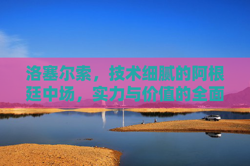 洛塞尔索,技术细腻的阿根廷中场,实力与价值的全面解析,洛塞尔索,技术细腻的阿根廷中场,实力与价值全解析 洛塞尔索,技术细腻的阿根廷中场,实力与价值的全面解析,洛塞尔索,技术细腻的阿根廷中场,实力与价值全解析
