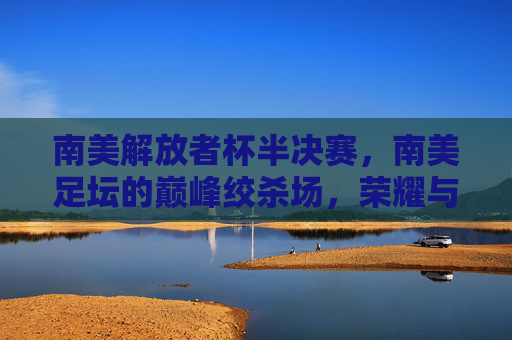 南美解放者杯半决赛，南美足坛的巅峰绞杀场，荣耀与悲情的交响曲，南美解放者杯半决赛，巅峰绞杀中的荣耀悲情交响