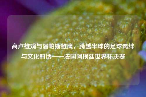 高卢雄鸡与潘帕斯雄鹰,跨越半球的足球羁绊与文化对话——法国阿根廷世界杯决赛
