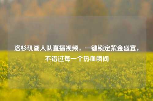 洛杉矶湖人队直播视频,一键锁定紫金盛宴,不错过每一个热血瞬间