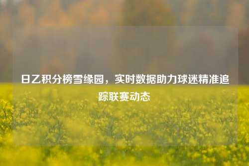 日乙积分榜雪缘园,实时数据助力球迷精准追踪联赛动态