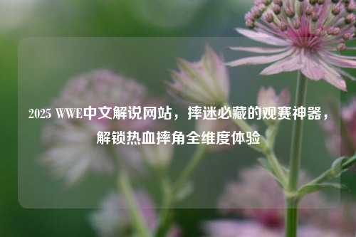 2025 WWE中文解说网站,摔迷必藏的观赛神器,解锁热血摔角全维度体验