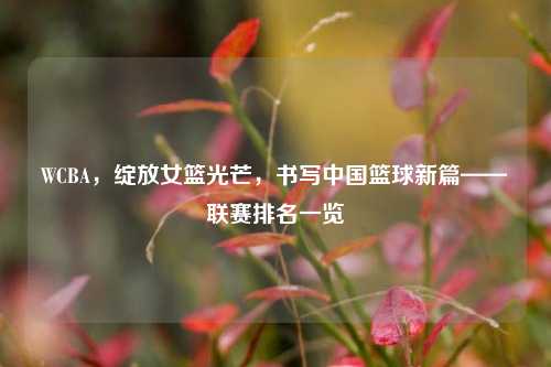 WCBA,绽放女篮光芒,书写中国篮球新篇——联赛排名一览