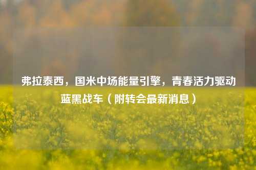 弗拉泰西,国米中场能量引擎,青春活力驱动蓝黑战车(附转会最新消息)