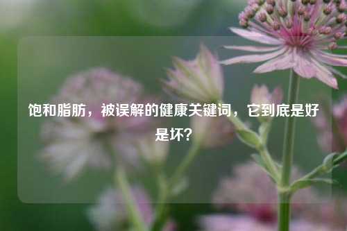 饱和脂肪,被误解的健康关键词,它到底是好是坏?