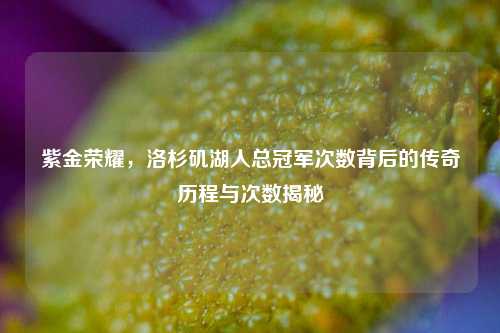 紫金荣耀,洛杉矶湖人总冠军次数背后的传奇历程与次数揭秘